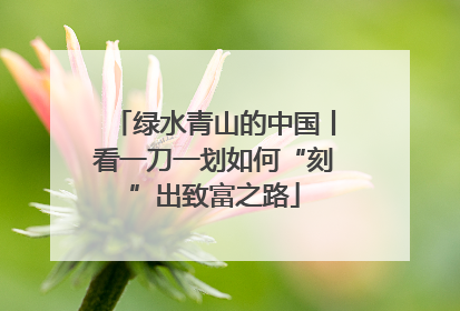绿水青山的中国丨看一刀一划如何“刻”出致富之路
