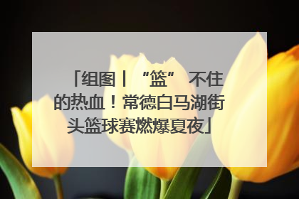 组图丨“篮” 不住的热血！常德白马湖街头篮球赛燃爆夏夜