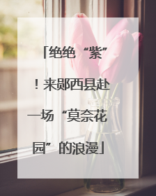 绝绝“紫”！来郧西县赴一场“莫奈花园”的浪漫