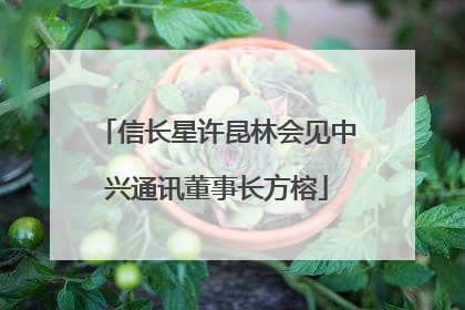 信长星许昆林会见中兴通讯董事长方榕