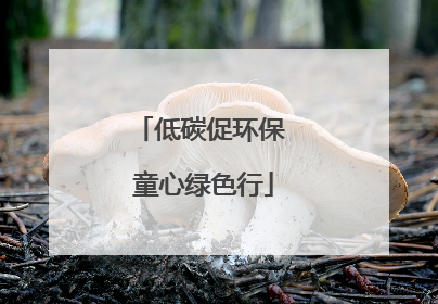 低碳促环保 童心绿色行