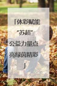 体彩赋能“苏超” 公益力量点亮绿茵精彩
