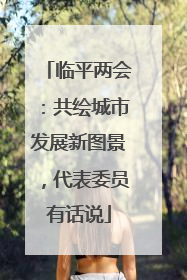 临平两会：共绘城市发展新图景，代表委员有话说