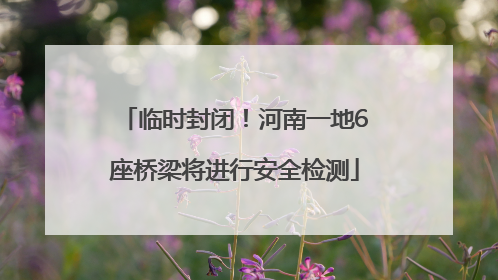临时封闭！河南一地6座桥梁将进行安全检测