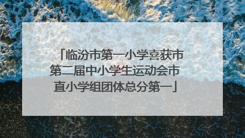 临汾市第一小学喜获市第二届中小学生运动会市直小学组团体总分第一