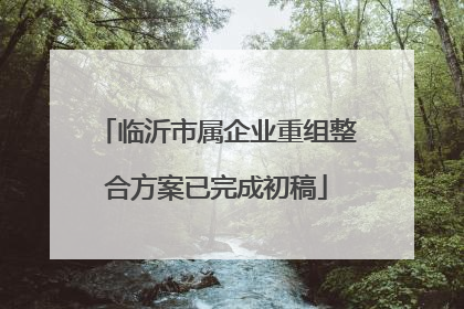 临沂市属企业重组整合方案已完成初稿