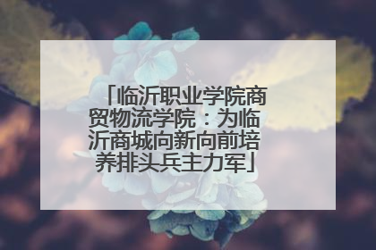 临沂职业学院商贸物流学院：为临沂商城向新向前培养排头兵主力军