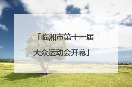 临湘市第十一届大众运动会开幕
