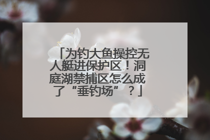 为钓大鱼操控无人艇进保护区！洞庭湖禁捕区怎么成了“垂钓场”？