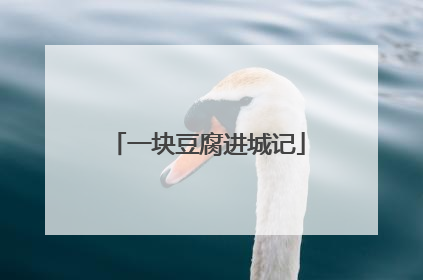 一块豆腐进城记