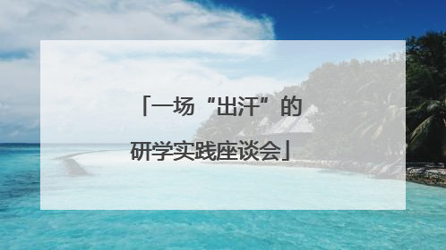 一场“出汗”的研学实践座谈会