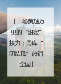 一场跨越万里的“甜蜜”接力：甬库“团结瓜”热销全国