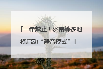 一律禁止！济南等多地将启动“静音模式”