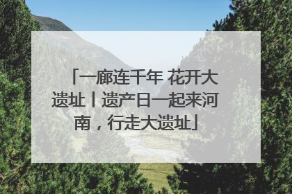一廊连千年 花开大遗址丨遗产日一起来河南，行走大遗址