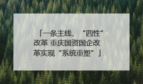 一条主线、“四性”改革 重庆国资国企改革实现“系统重塑”