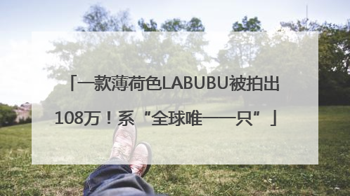 一款薄荷色LABUBU被拍出108万！系“全球唯一一只”