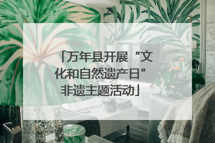 万年县开展“文化和自然遗产日”非遗主题活动