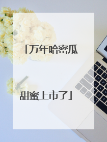 万年哈密瓜甜蜜上市了