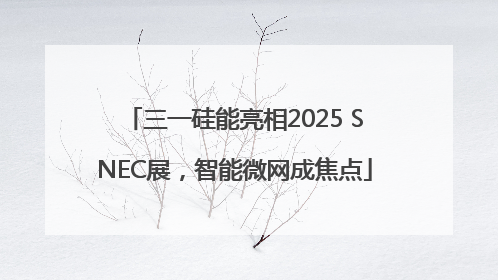 三一硅能亮相2025 SNEC展，智能微网成焦点