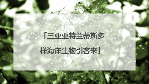 三亚亚特兰蒂斯多样海洋生物引客来