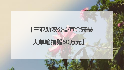 三亚助农公益基金获最大单笔捐赠50万元