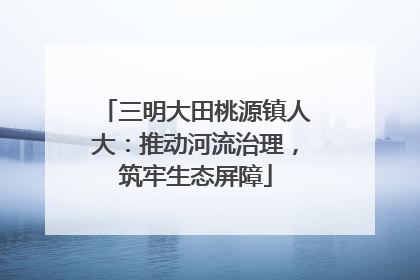 三明大田桃源镇人大：推动河流治理，筑牢生态屏障