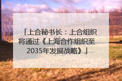 上合秘书长：上合组织将通过《上海合作组织至2035年发展战略》