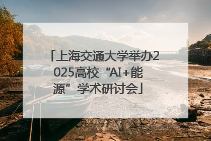 上海交通大学举办2025高校“AI+能源”学术研讨会