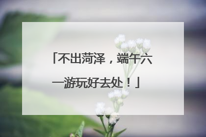 不出菏泽，端午六一游玩好去处！