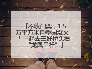 不收门票，1.5万平方米月季园爆火！一起去三好桥头看“龙凤呈祥”