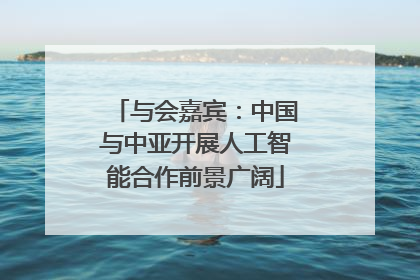 与会嘉宾：中国与中亚开展人工智能合作前景广阔