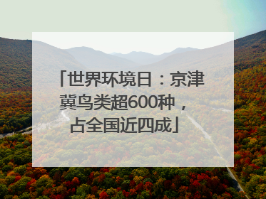 世界环境日：京津冀鸟类超600种，占全国近四成