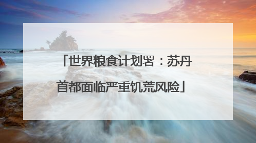世界粮食计划署：苏丹首都面临严重饥荒风险