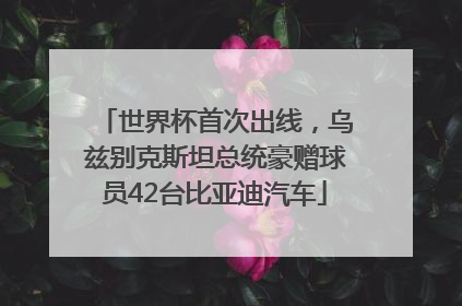 世界杯首次出线，乌兹别克斯坦总统豪赠球员42台比亚迪汽车