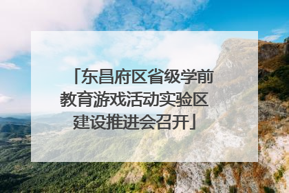 东昌府区省级学前教育游戏活动实验区建设推进会召开