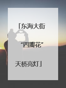 东海大街“四瓣花”天桥亮灯