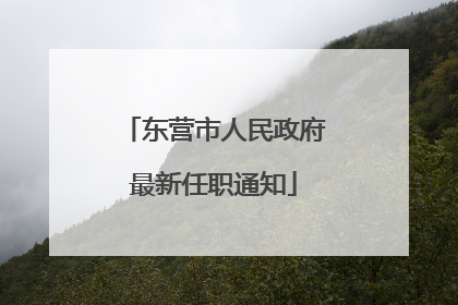 东营市人民政府最新任职通知