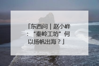 东西问｜赵小峰：“秦岭工坊”何以扬帆出海？