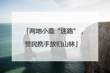 两地小鹿“迷路”，警民携手放归山林