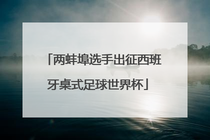 两蚌埠选手出征西班牙桌式足球世界杯