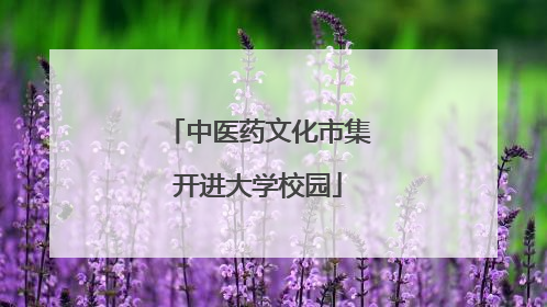 中医药文化市集开进大学校园