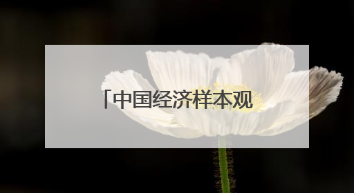 中国经济样本观察｜“内衣小镇”织出500亿元“里子产业”