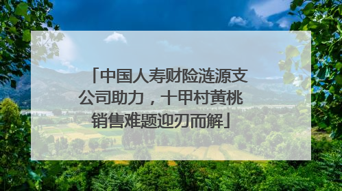 中国人寿财险涟源支公司助力，十甲村黄桃销售难题迎刃而解