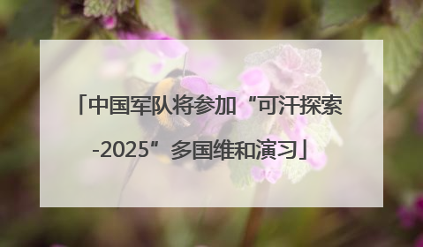 中国军队将参加“可汗探索-2025”多国维和演习