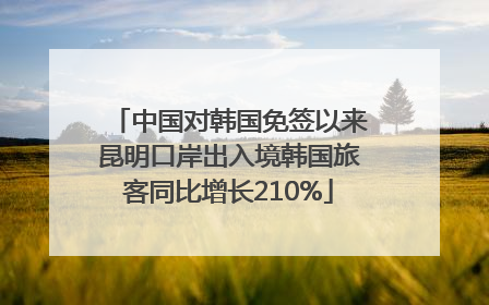 中国对韩国免签以来昆明口岸出入境韩国旅客同比增长210%