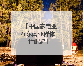 中国家电业在东南亚群体性崛起