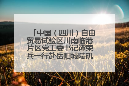 中国（四川）自由贸易试验区川南临港片区党工委书记谭荣兵一行赴岳阳城陵矶综保区考察