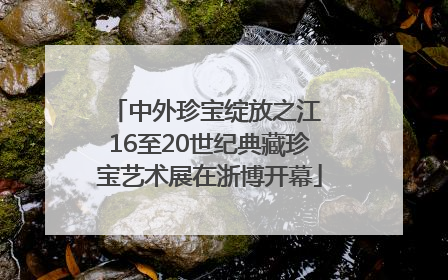 中外珍宝绽放之江 16至20世纪典藏珍宝艺术展在浙博开幕