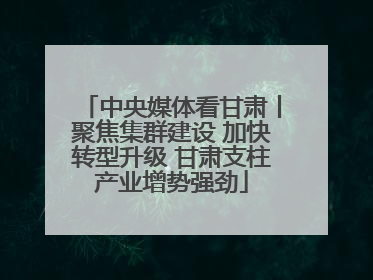 中央媒体看甘肃丨聚焦集群建设 加快转型升级 甘肃支柱产业增势强劲
