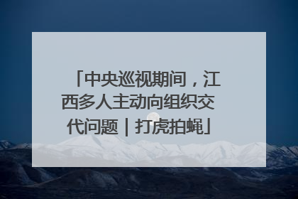 中央巡视期间，江西多人主动向组织交代问题｜打虎拍蝇